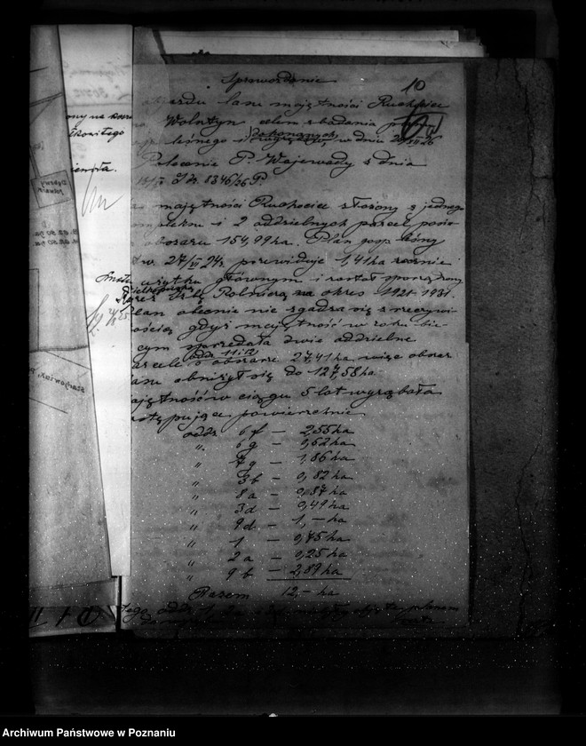 Obraz 14 z jednostki "Majętność leśna Ruchocice powiat wolsztyński"