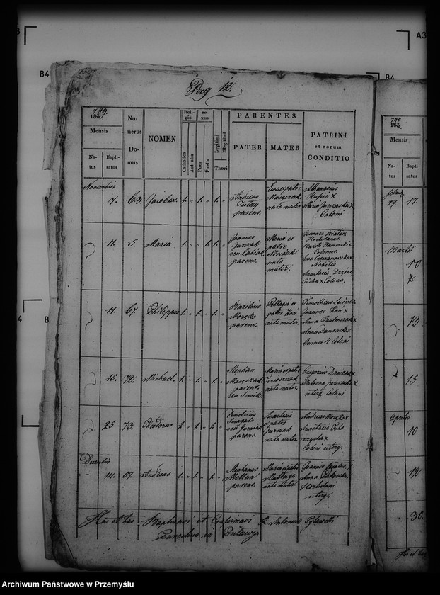 Obraz 16 z jednostki "[Kopie ksiąg metrykalnych parafii Puławy (dekanat Buków)]"