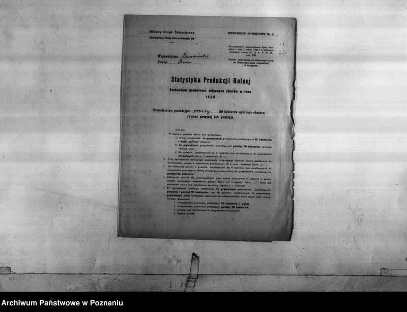 Obraz 18 z jednostki "Statystyka produkcji rolnej - zestawienie z powiatu żnińskiego"