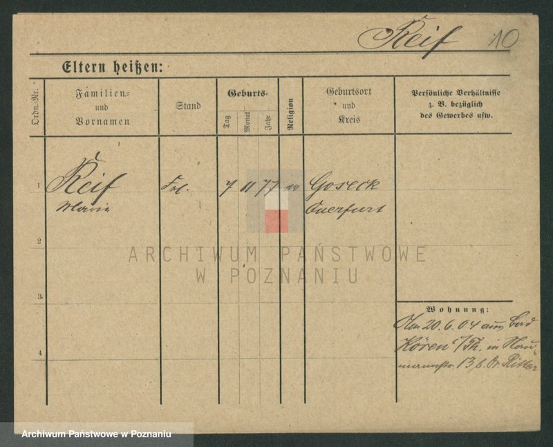 Obraz 12 z jednostki "Rajf - Rajman (Rei...)"