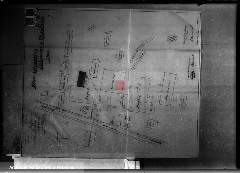 Obraz 14 z jednostki "Cukrownia Opalenica Spółka Akcyjna, nr woj. 6831"