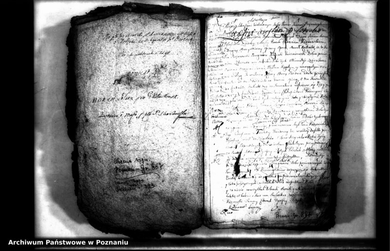 Obraz 3 z jednostki "Relationes [protocollon]"