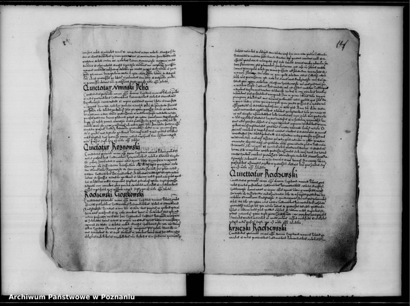 Obraz 19 z jednostki "Inscriptiones, relationes [inducta]"