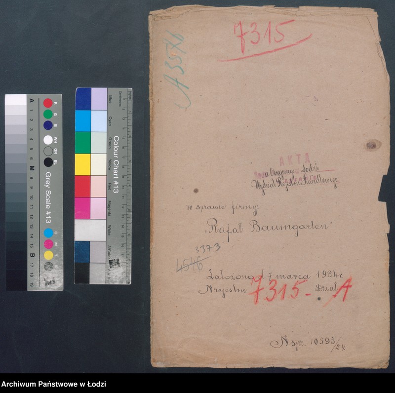 Obraz 2 z jednostki "Rafał Baumgarten- tartak"