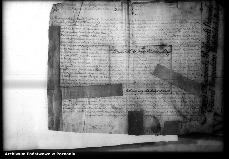 Obraz 5 z jednostki "Universalia [acticantia]"