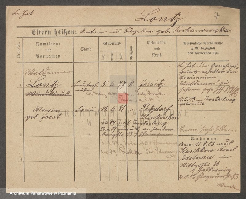 Obraz 7 z jednostki "Łodygowski - Łopuszyński"