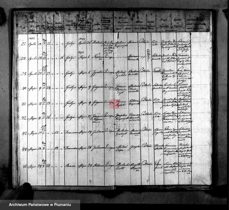 image.from.unit.number "Liber baptisatorum, copulatorum, mortuorum"