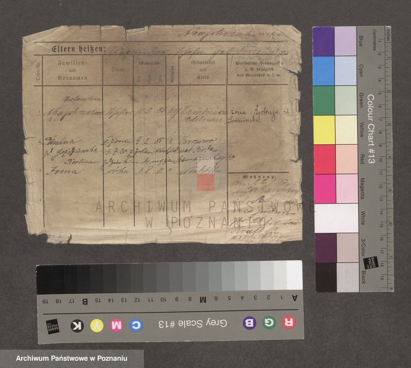 Obraz 1 z jednostki "Majchrzakowski - Majkowski"