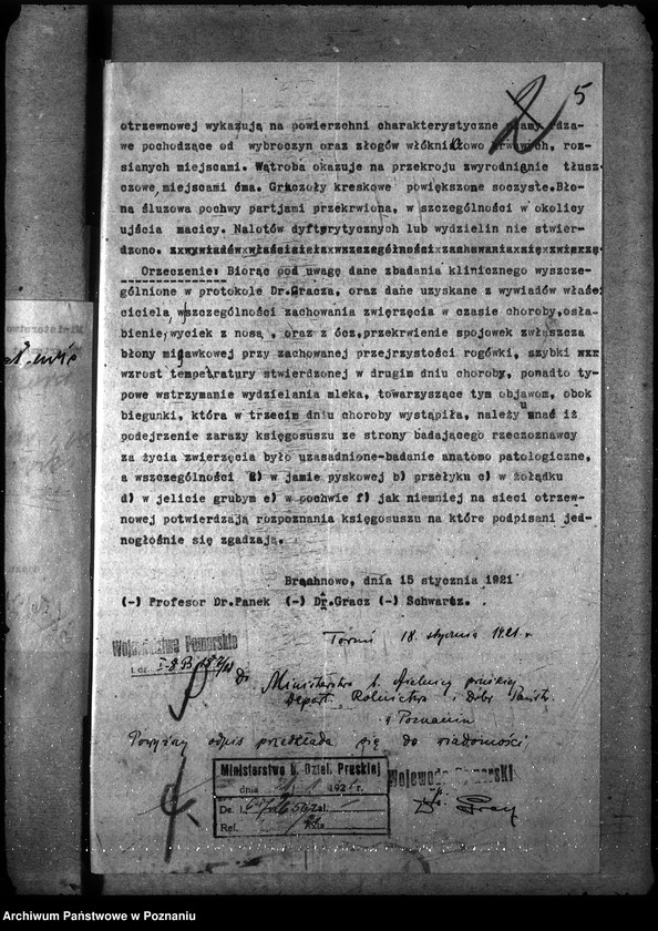 Obraz 10 z jednostki "Księgosusz - Toruń"