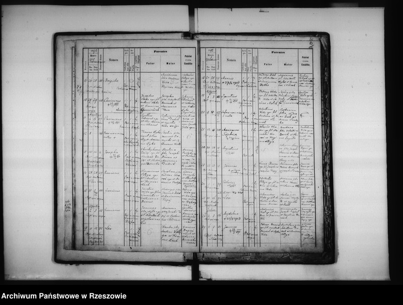 Obraz 12 z jednostki "Księga urodzeń - Łowisko"