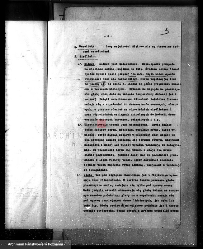 Obraz 7 z jednostki "Las majętność /Siekówko/ powiat kościański plan urządzenia 1933-1943"