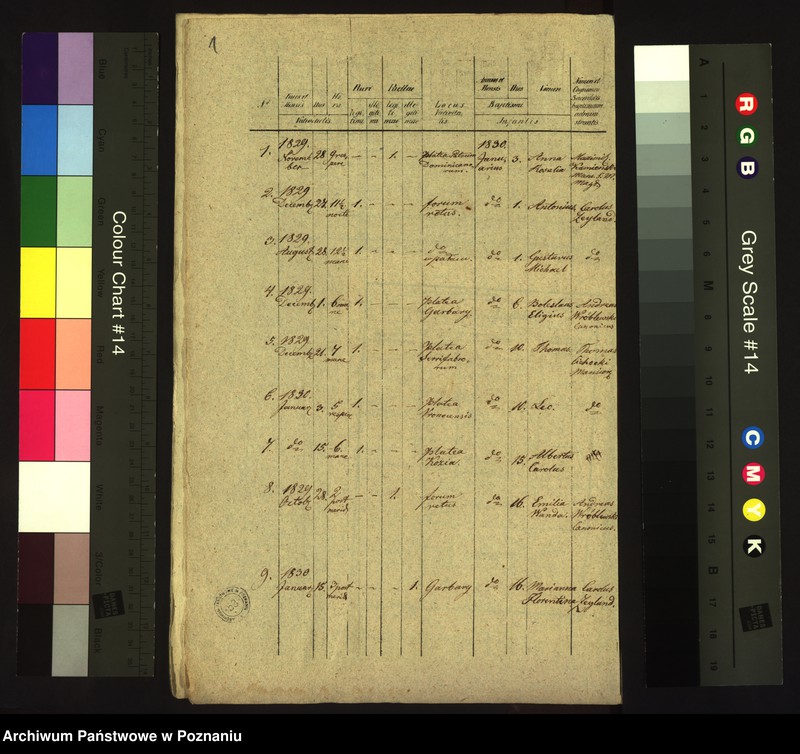 Obraz 3 z jednostki "Księga urodzin"