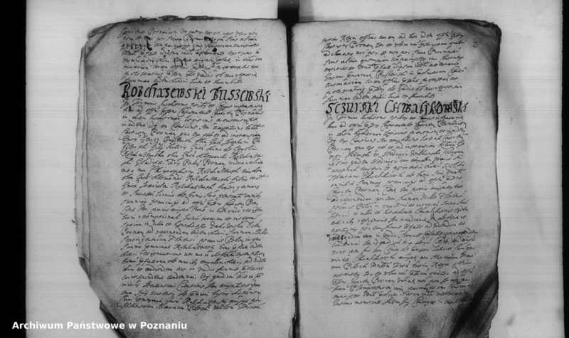 Obraz 5 z jednostki "Inscriptiones [inducta]"