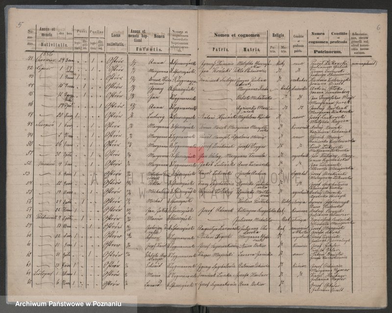 image.from.unit.number "Wykaz urodzonych"