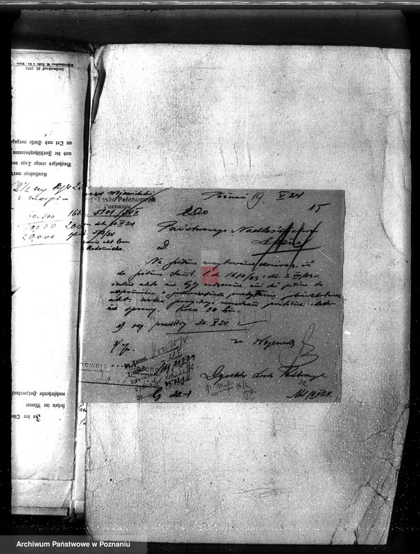 Obraz 19 z jednostki "Las parafialny kościoła w Radomicku powiat kościański"