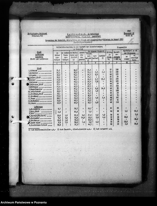 Obraz 20 z jednostki "Elsass - Lothringen"