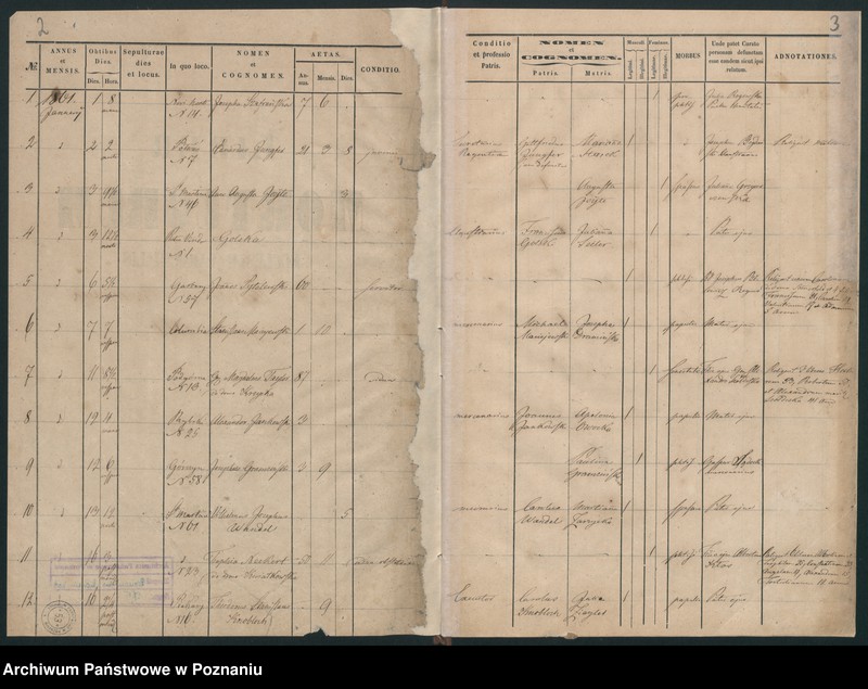 Obraz 4 z jednostki "Księga zgonów"