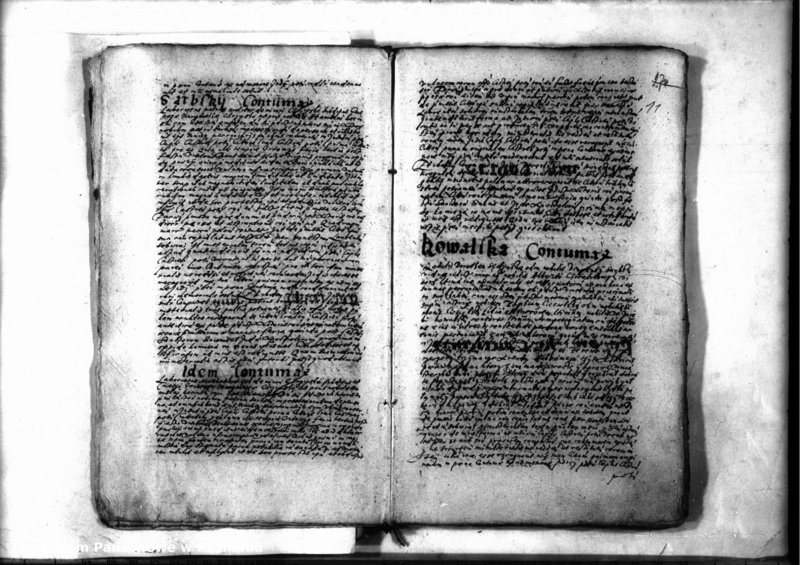 Obraz 13 z jednostki "Decreta iudicii [inducta]"