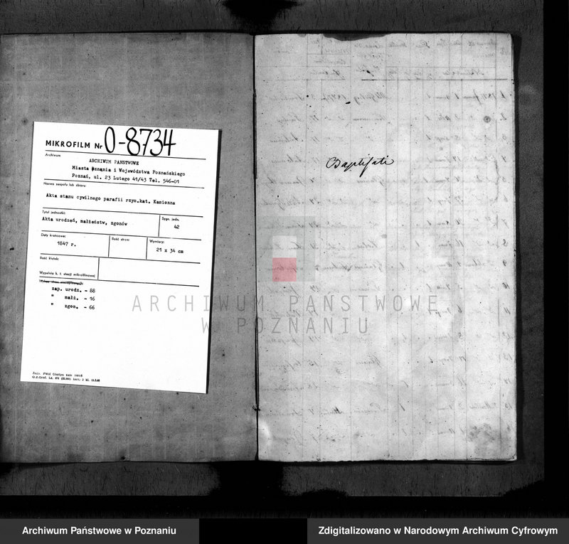Obraz 3 z jednostki "Duplikat baptisatorum, copulatorum, mortuorum"