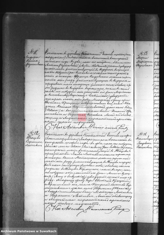 Obraz 10 z jednostki "Dublikat Elenevskago Prichoda s 1886 goda"