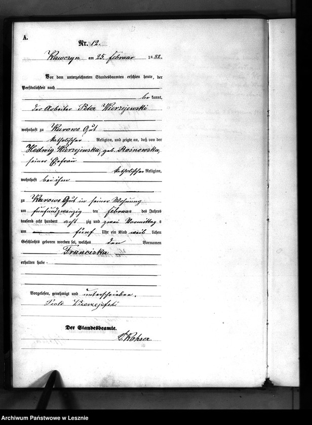 Obraz 17 z jednostki "[Księga urodzeń]"