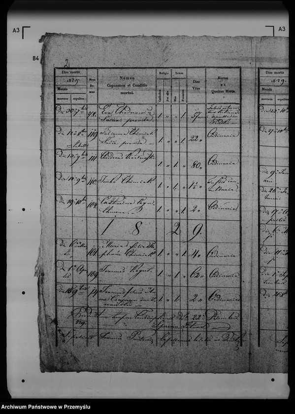 Obraz 6 z jednostki "[Kopie ksiąg metrykalnych parafii Rudki (dekanat Rudki)]"