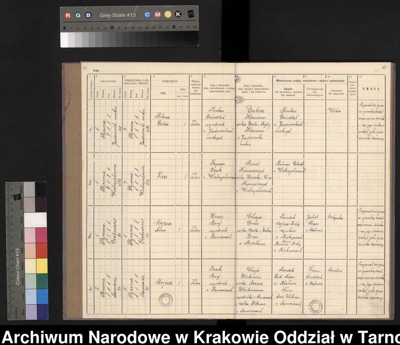 image.from.unit.number "Księga urodzeń"