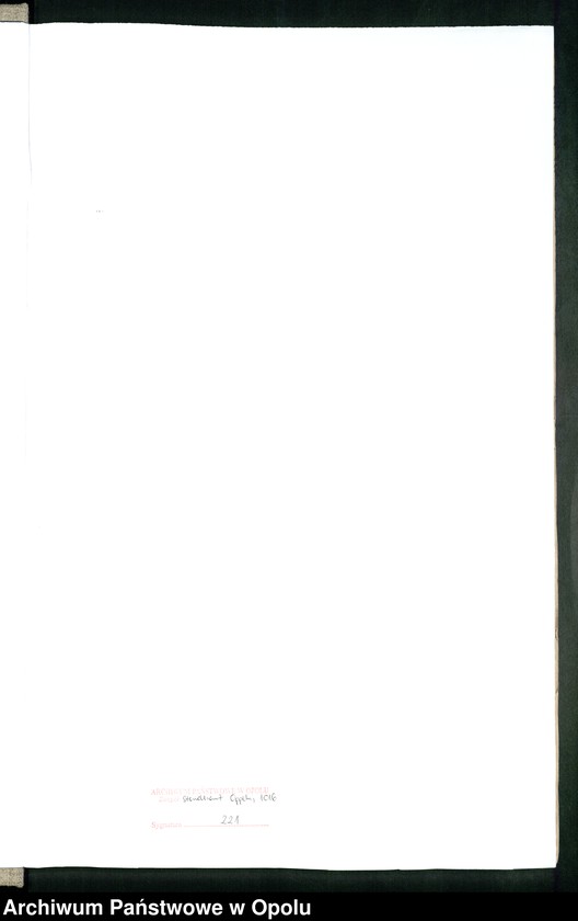 image.from.unit.number "Urząd Stanu Cywilnego Opole Księga Urodzeń Rok 1913 1058-1559"