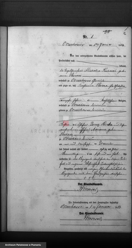 Obraz 3 z jednostki "Księga zgonów"