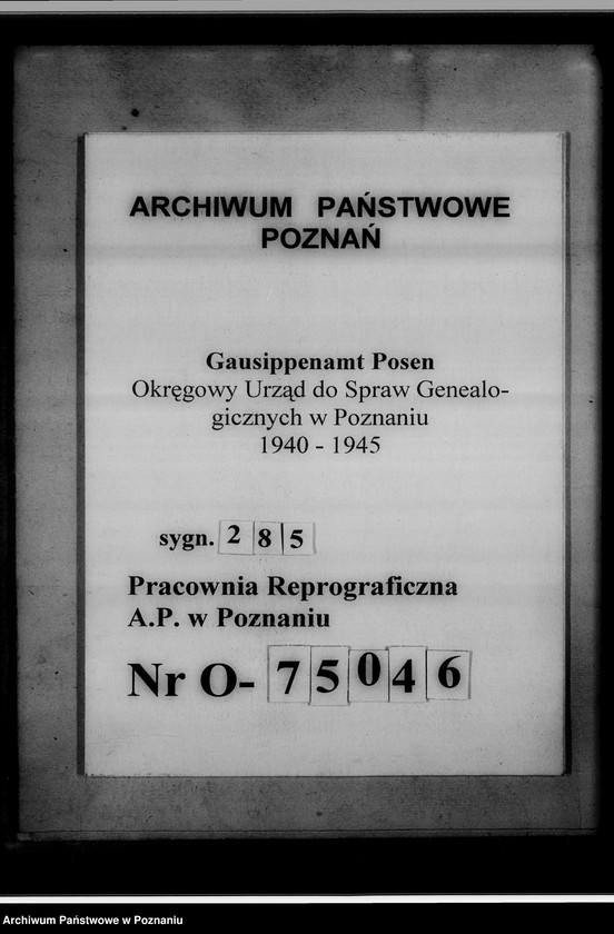 Obraz 19 z jednostki "Verzeichnis der im Amtsgericht Wollstein [Wolsztyn] befindlichen Kirchenduplikate"