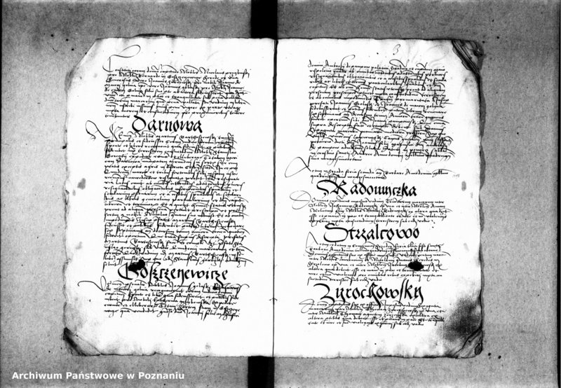 Obraz 9 z jednostki "Inscriptiones, relationes, decreta [inducta]"