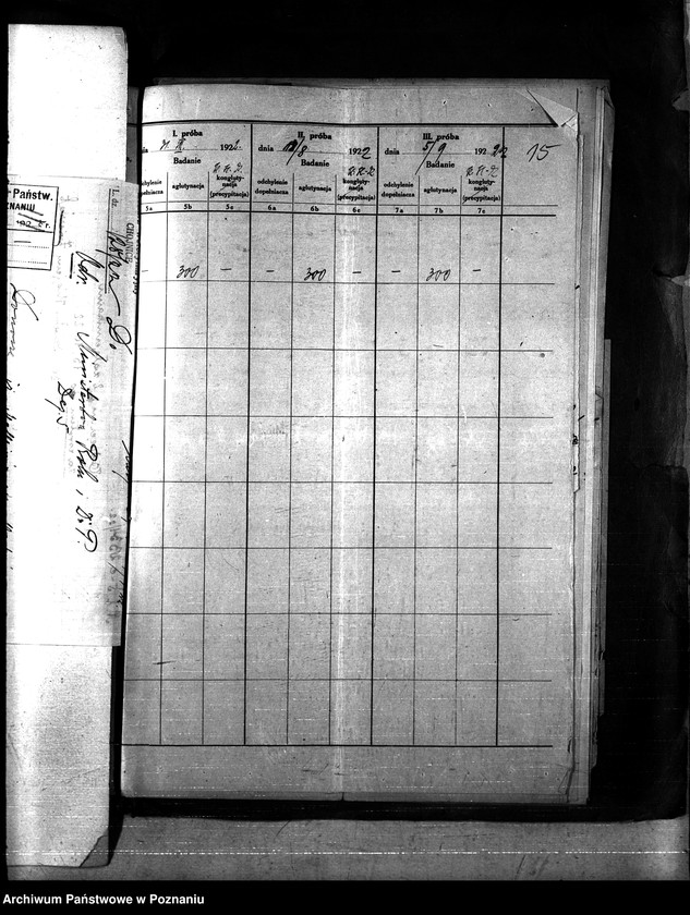 Obraz 19 z jednostki "Nosacizna - Chojnice"
