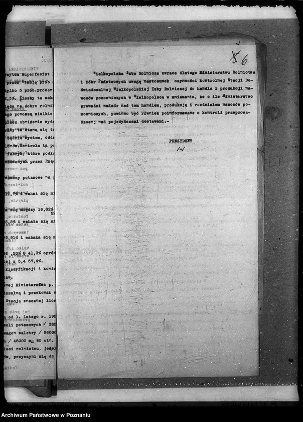 Obraz 10 z jednostki "Sztuczne nawozy"