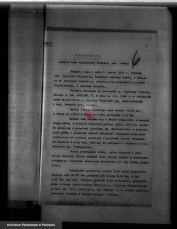 Obraz 13 z jednostki "Majętność leśna Swadzim powiat poznański"