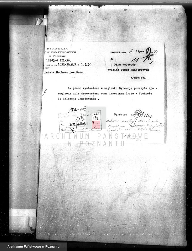 image.from.unit.number "Las majętności Nochowo w powiecie śremskim"