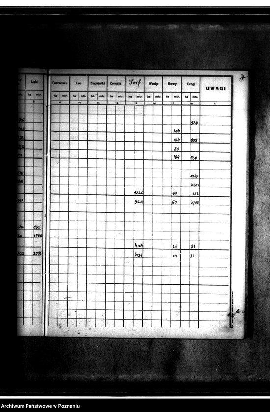 Obraz 11 z jednostki "Rejestr pomiarowy gminy Goszczanów powiat turecki"