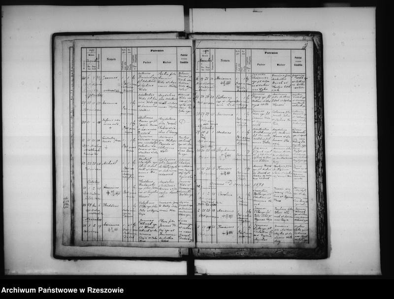 Obraz 13 z jednostki "Księga urodzeń - Łowisko"