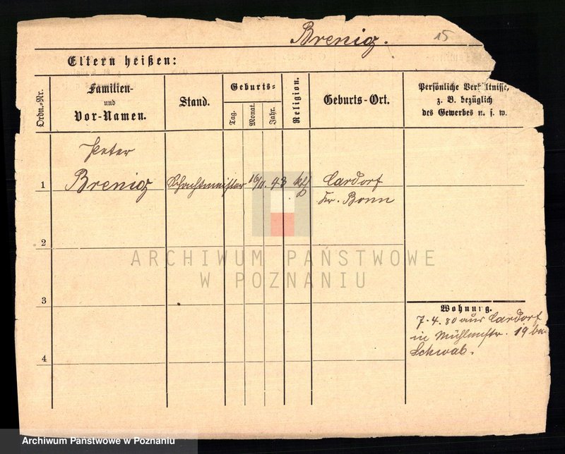 Obraz 17 z jednostki "Brengel - Bręczarska"