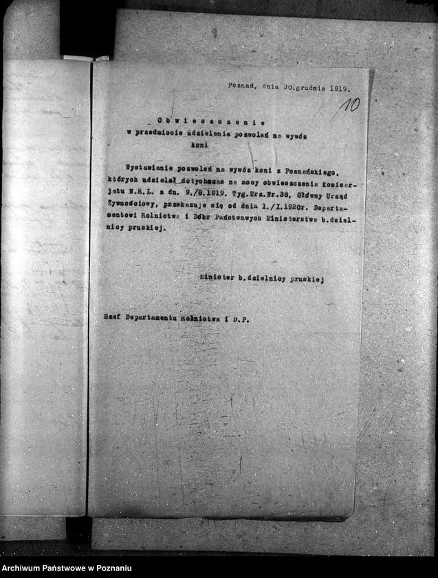 Obraz 15 z jednostki "Wywóz koni"