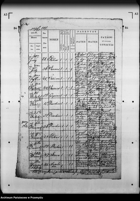 Obraz 20 z jednostki "[Kopie ksiąg metrykalnych parafii Krukienice z filią Ostrożec (dekanat Mościska)]"