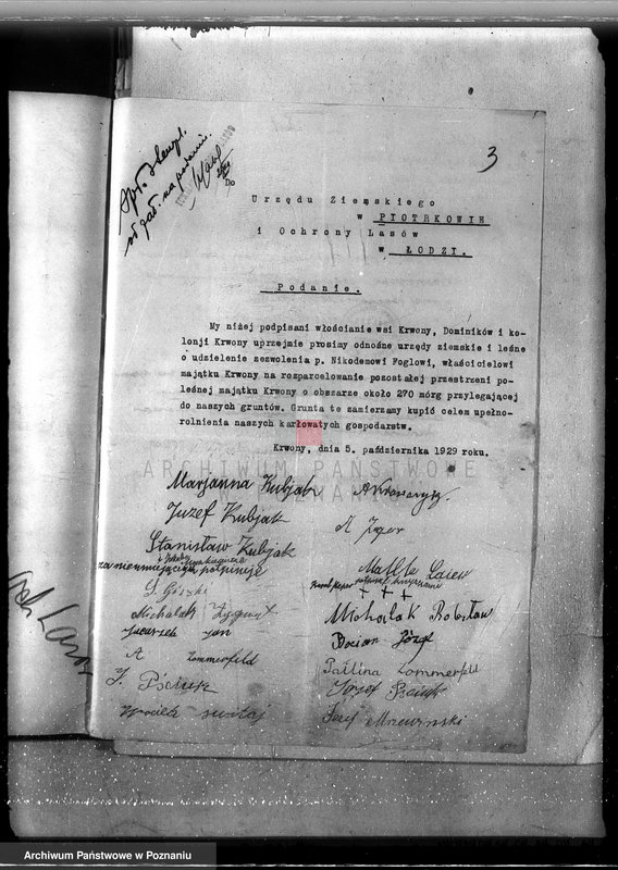 Obraz 7 z jednostki "Majątek Krwony powiat kolski /nadzór nad gospodarką leśną/"