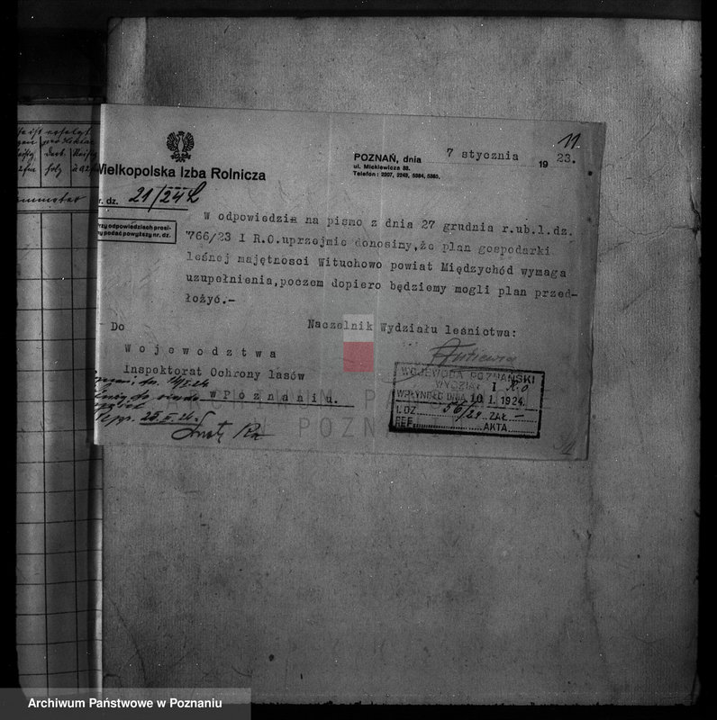 Obraz 13 z jednostki "Majętność Wituchowo w powiecie międzychodzkim"