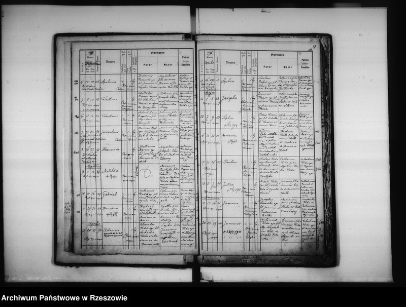 Obraz 19 z jednostki "Księga urodzeń - Łowisko"