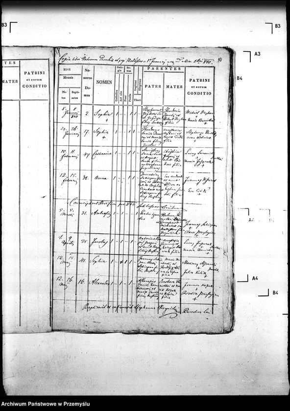 Obraz 14 z jednostki "[Kopie ksiąg metrykalnych parafii Małastów z filiami Ropica Ruska, Pętna (dekanat Gorlice)]"