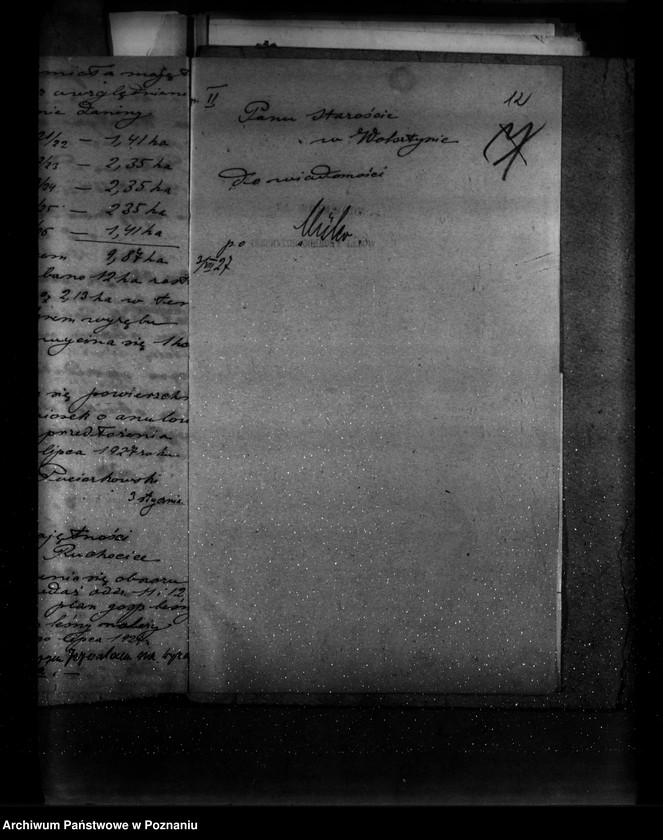 Obraz 16 z jednostki "Majętność leśna Ruchocice powiat wolsztyński"