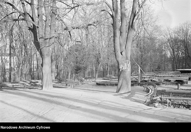 image.from.unit.number "Lublin - Ogród Saski i okolice podczas zimy"