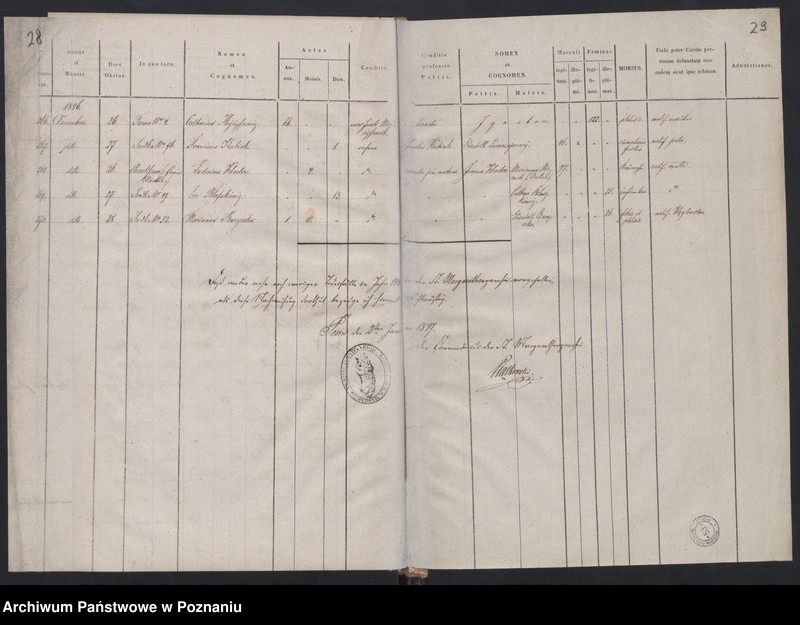 Obraz 17 z jednostki "Księga zgonów"