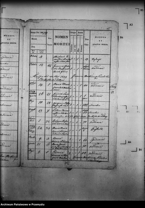 image.from.unit.number "[Kopie ksiąg metrykalnych parafii Leluchów z filią Dubne (dekanat Muszyna)]"