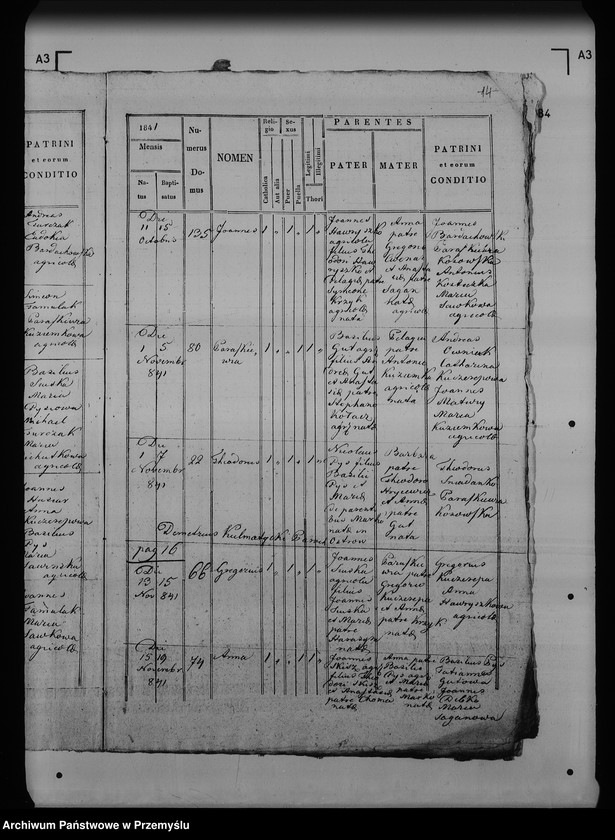 Obraz 19 z jednostki "[Kopie ksiąg metrykalnych parafii Maćkowice z filią Kosienice (dekanat Przemyśl)]"