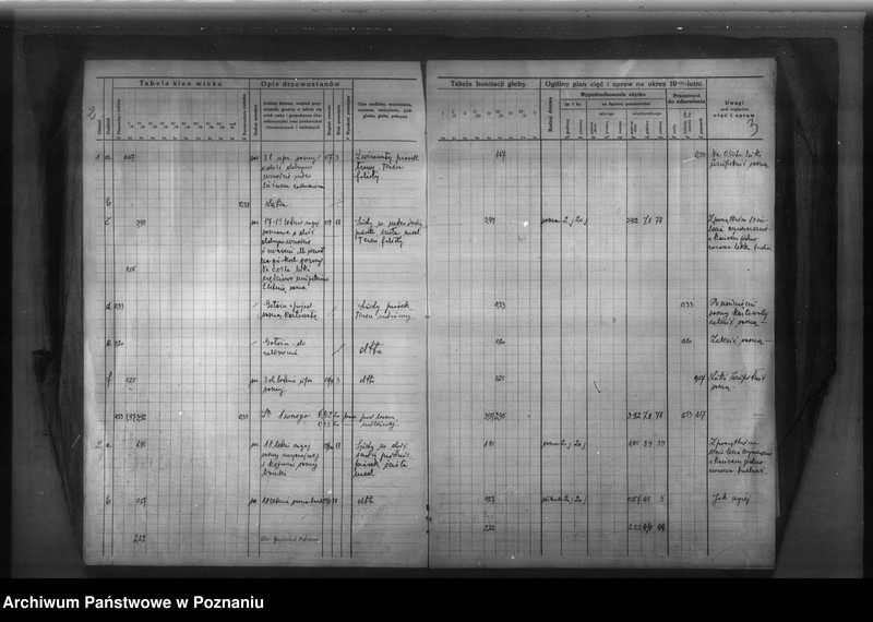 Obraz 6 z jednostki "Ryszard Koerth gmina Biskupice /Program urządzenia gospodarstwa leśnego/"